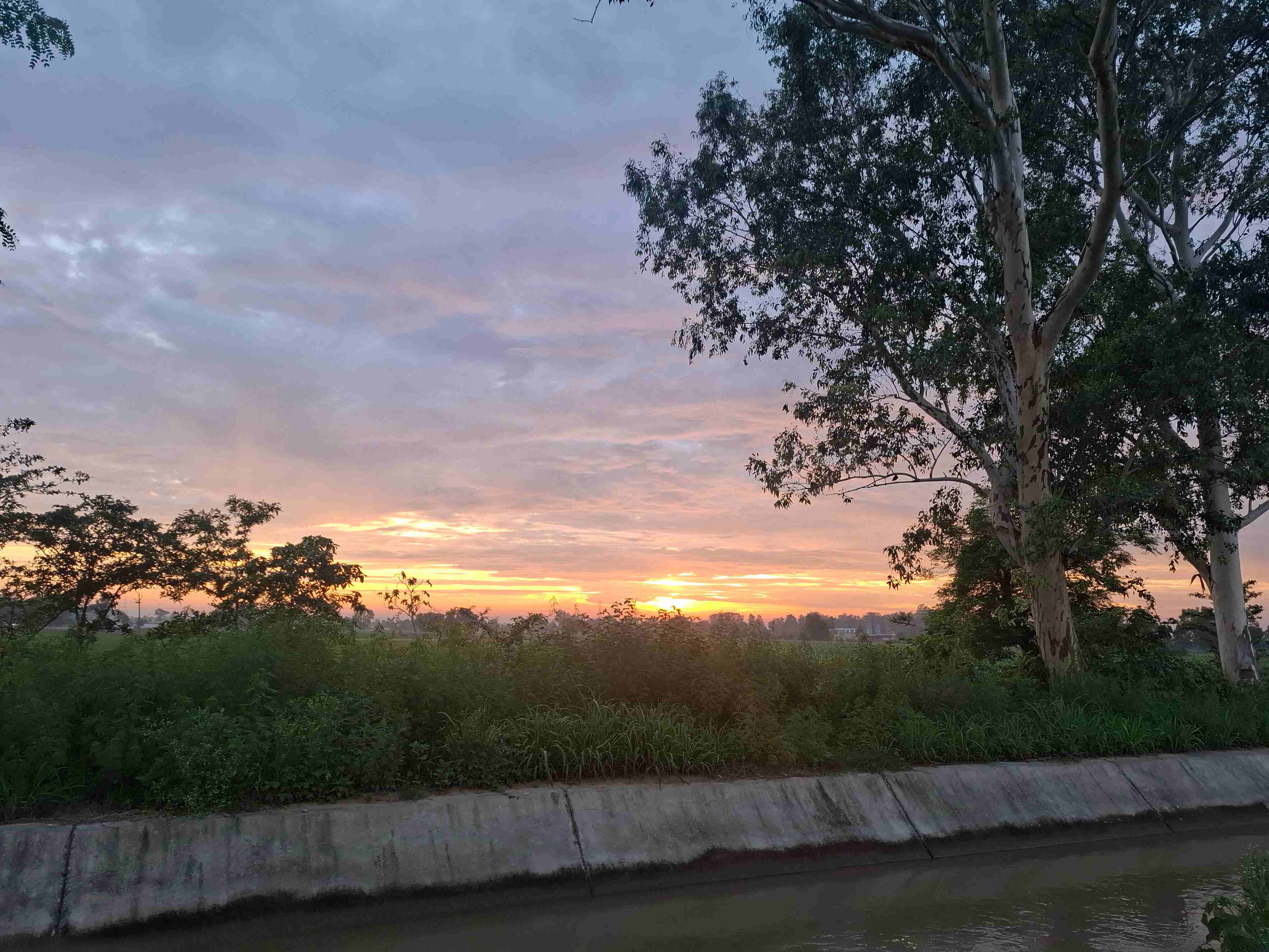 Fading light to echo goodbye